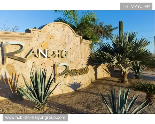 ¦ó+¡-+Ã+Â+¦½©¯ú¼ÂÈ-ÍÀÎÀÎ¦È¦+¤¹í¬í¬¦¢-¸Ã¦-ÍÁ-i¢-§+Ï+_ËÙ+¦+¦Í«-À